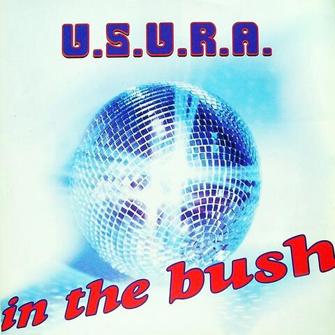 In the Bush
