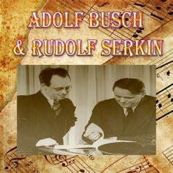 Violin Partita No. 2 in D Minor, BWV 1004: III. Sarabande