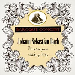 Violin Concerto No. 2 in E Major, BWV 1042: III. Allegro assai