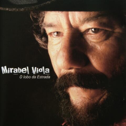O Lobo da Estrada