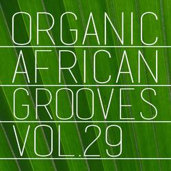 Tribal Sonic Soundblast,Vol 4