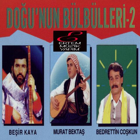 Doğu'nun Bülbülleri, Vol. 2