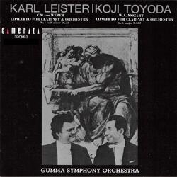 Clarinet Concerto No. 1 in F Minor, Op. 73, J. 114: I. Allegro moderato