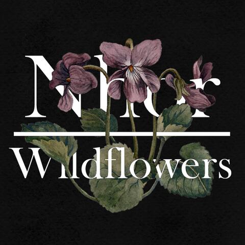 Wildflowers: Winter