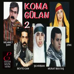 Diyarbakır