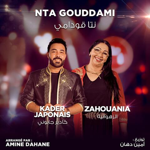 Nta Goudami
