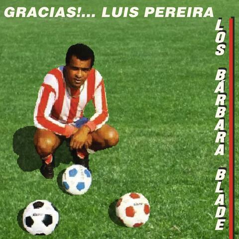 Gracias!... Luis Pereira