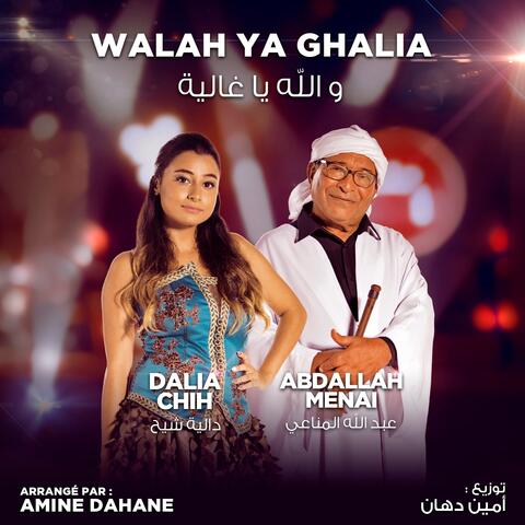 Walah Ya Ghalia