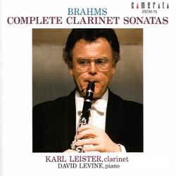 Clarinet Sonata in F Minor, Op. 120 No. 1: II. Andante un poco adagio