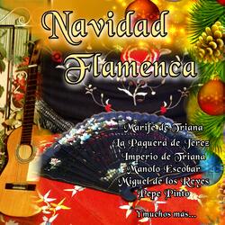 Nochebuena de Alonso