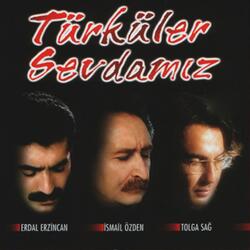 Gör Nic'olur