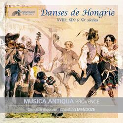 Partita all'ungaresca d'après des danses hongroises du XVIè siècle: No. 4, Saltarello. Allegro