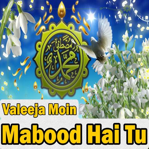 Mabood Hai Tu