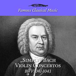 Violin Concerto in A Minor, BWV 1041: I. —