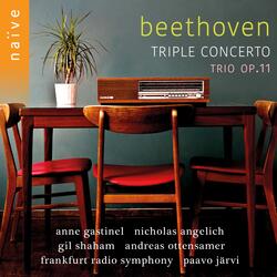 Trio in B-Flat Major, Op. 11 "Gassenhauer": I. Allegro con brio