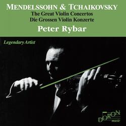 Violin Concerto in E Minor, Op. 64, MWV O14: II. Andante