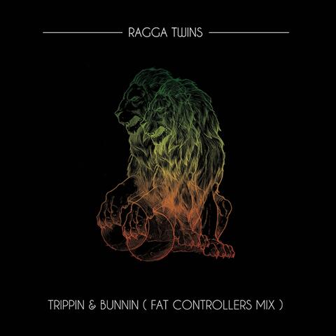 Trippin & Bunnin