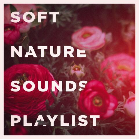 Soft nature sounds playlist