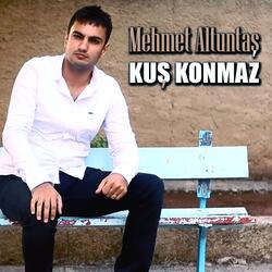 Kuş Konmaz