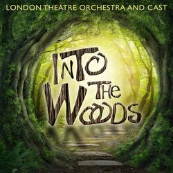 Prologue: Into the Woods
