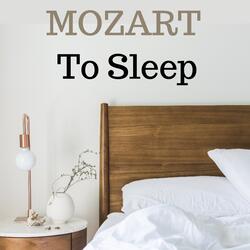 Clarinet Concerto in A Major, K. 622: II. Adagio