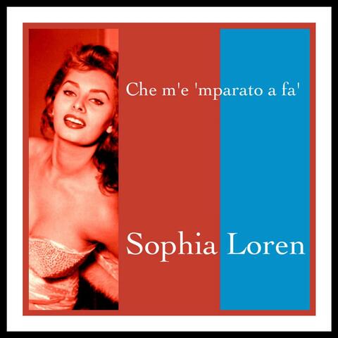 Che m'e 'mparato a fa'