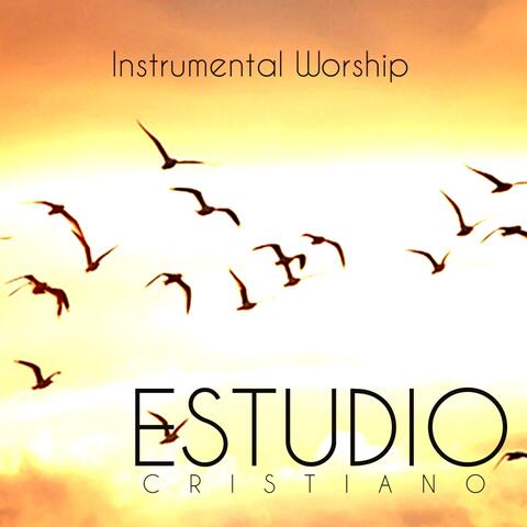 Estudio Cristiano