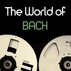 Violin Concerto in A Minor, BWV 1041: III. Allegro assai