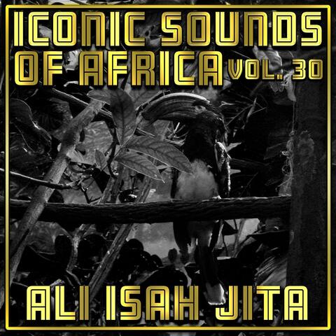 Iconic Sounds Of Africa - Vol. 30