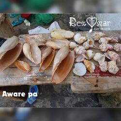 Aware Pa