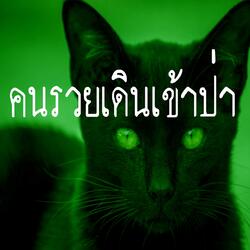 คนรวยเดินเข้าป่า