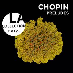 Preludes pour Piano, Op. 28: No. 6 in B Minor. Lento Assai