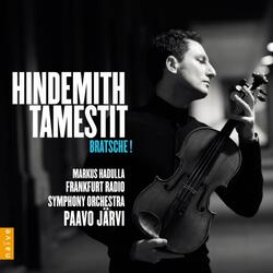 Sonata for Solo Viola, Op. 25 No. 1: V. Langsam, mit viel Ausdruck