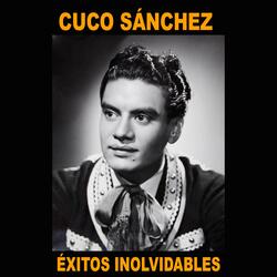 Hace un Año