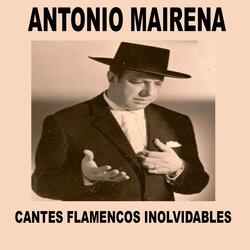 A mí me daba un sentimiento