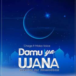 Damu Ya Ujana