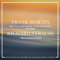 Etude pour 23 instruments à cordes "Métamorphoses"
