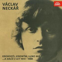 Krokodýl Jeroným
