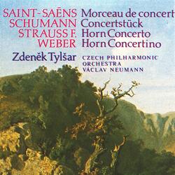 Horn Concerto in C Minor, Op. 8: II. Andante