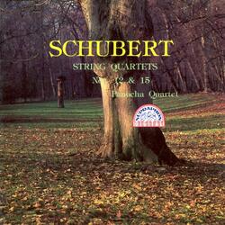 String Quartet No. 15 in G Major, Op. 161, D. 887: I. Allegro molto moderato
