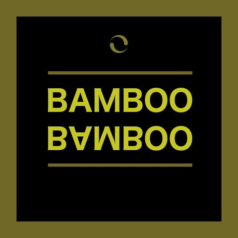 Bamboo