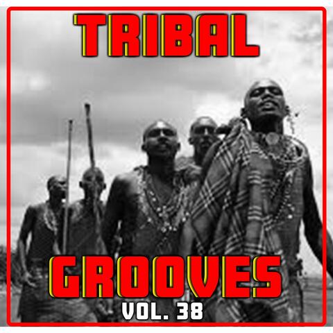 Tribal Grooves Vol. 38