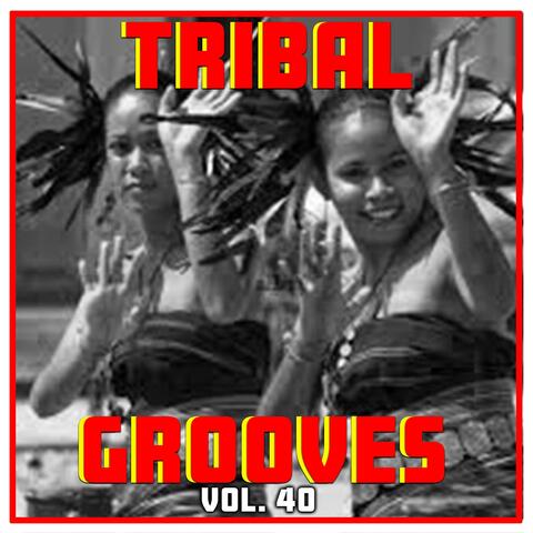 Tribal Grooves Vol. 40