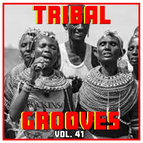 Tribal Grooves Vol. 41