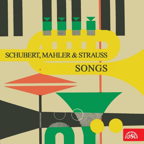 Schubert, mahler, strauss: songs