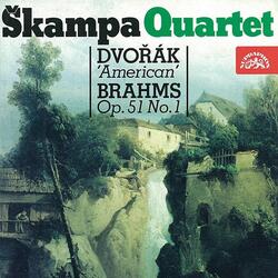 String Quartet No. 12 in F Major, Op. 96, B. 179: IV. Finale. Vivace ma non troppo