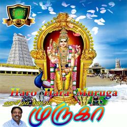 Paal Irukkuthu Va