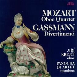 Divertimento in B-Flat Major: II. Allegro