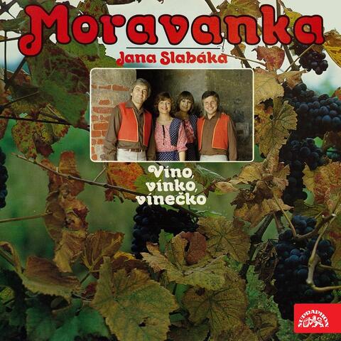 Víno, Vínko, Vínečko