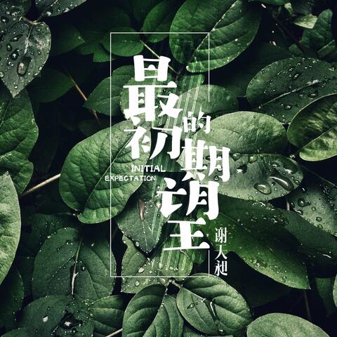 最初的期望